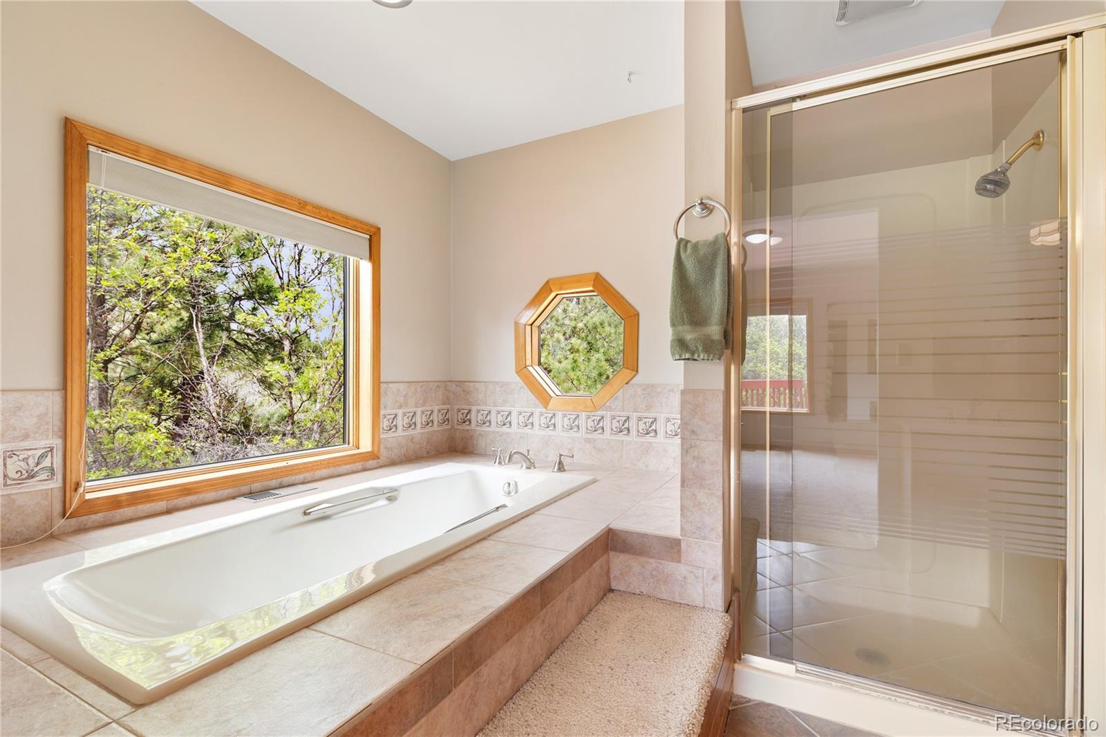 MLS Image #13 for 1400  catamaran lane,monument, Colorado
