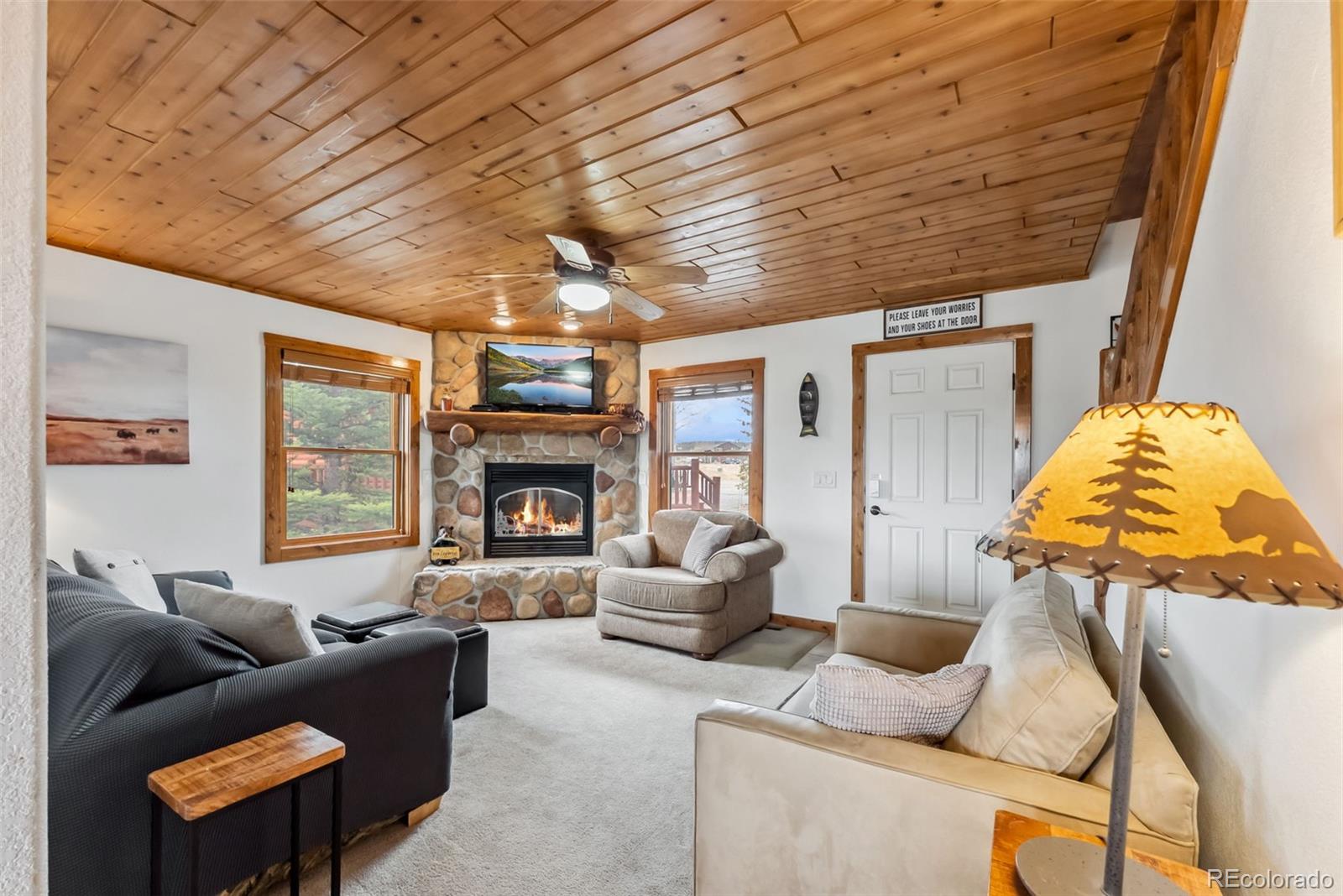 MLS Image #3 for 268  fuller drive,fairplay, Colorado