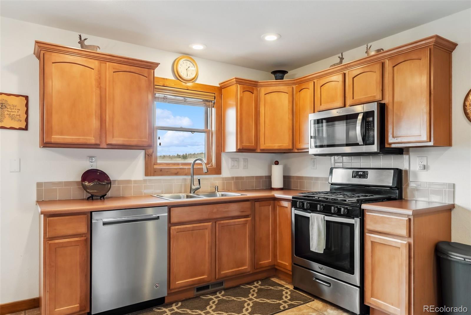 MLS Image #8 for 268  fuller drive,fairplay, Colorado