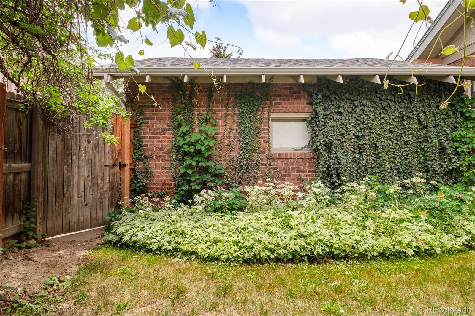 MLS Image #4 for 674  steele street,denver, Colorado