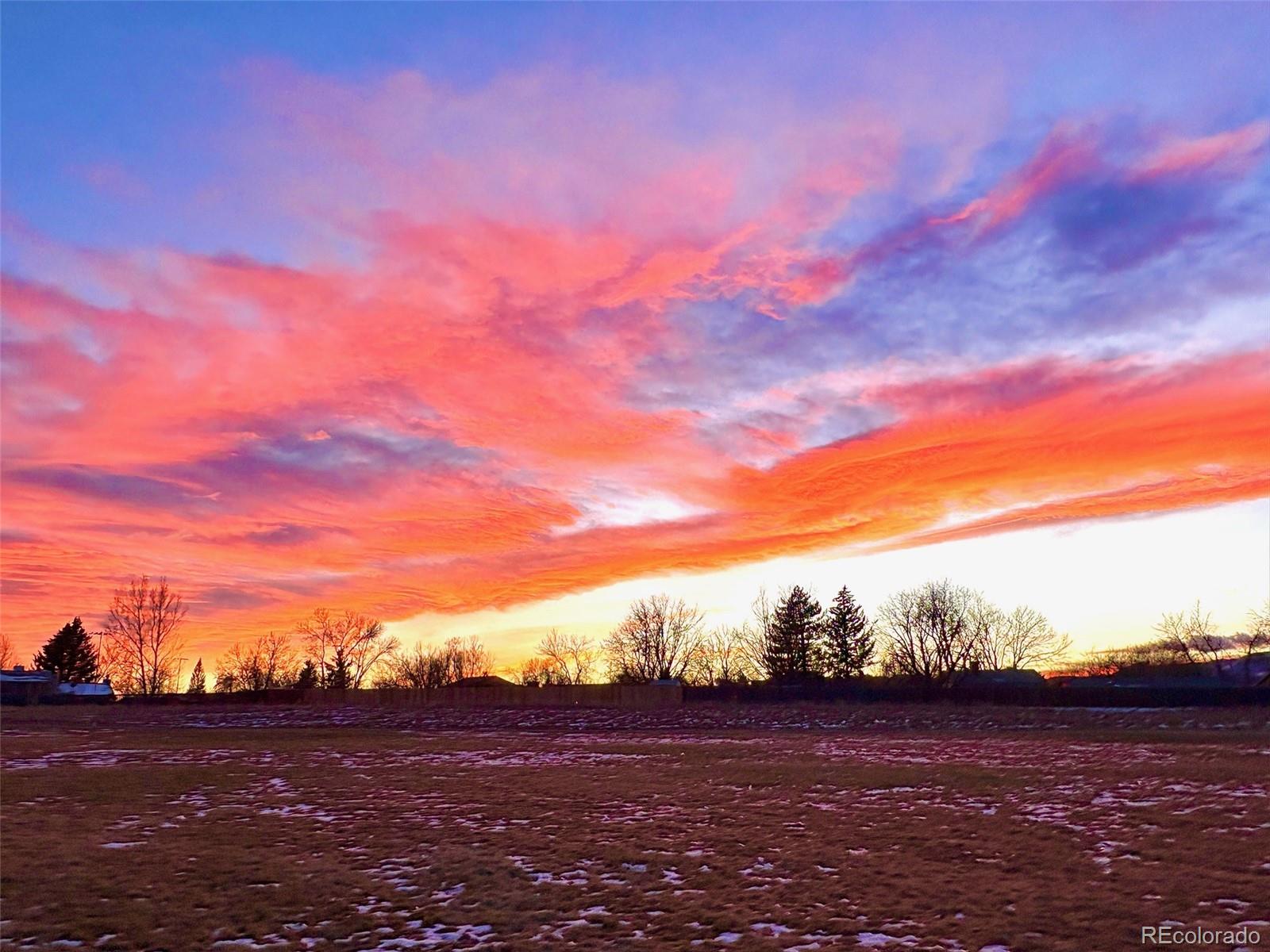 MLS Image #26 for 8791  allison drive,arvada, Colorado