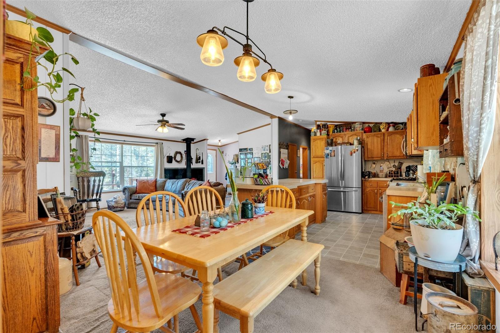 MLS Image #11 for 44  silver trail,florissant, Colorado