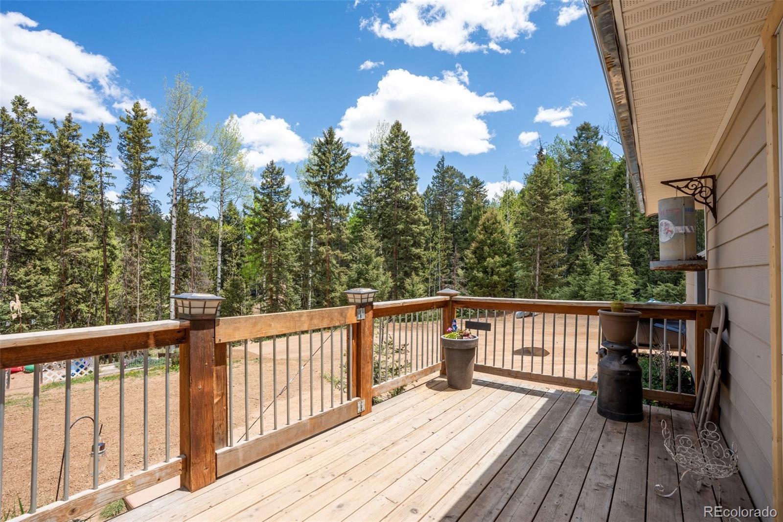 MLS Image #13 for 44  silver trail,florissant, Colorado