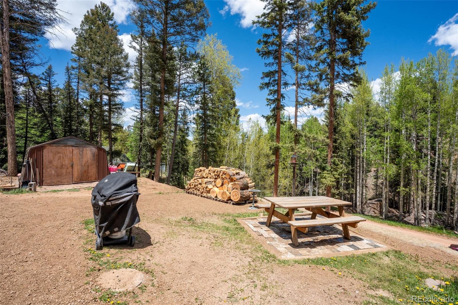 MLS Image #14 for 44  silver trail,florissant, Colorado