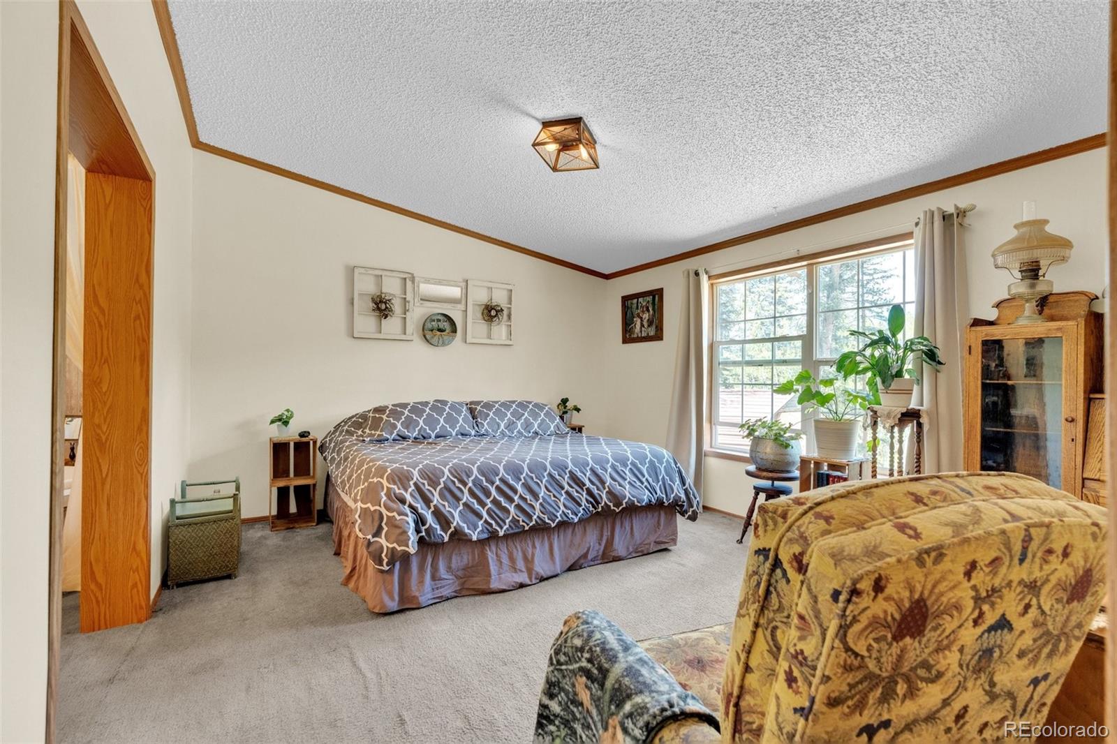 MLS Image #16 for 44  silver trail,florissant, Colorado