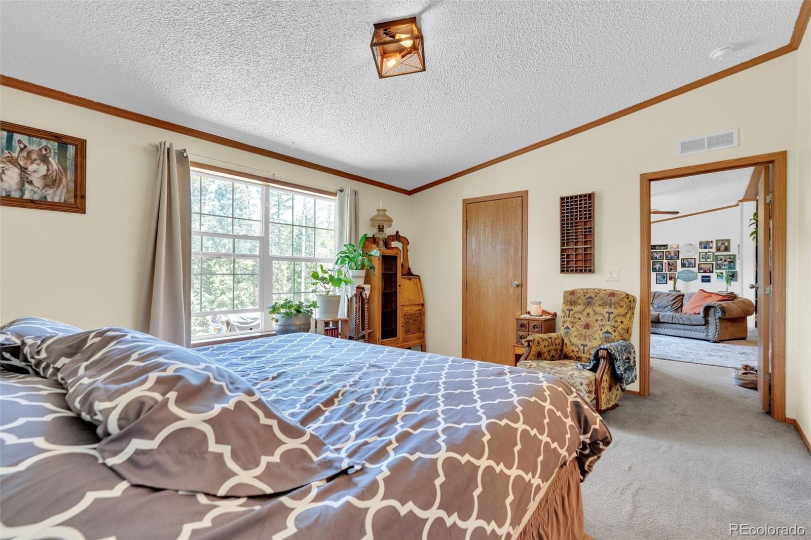 MLS Image #18 for 44  silver trail,florissant, Colorado
