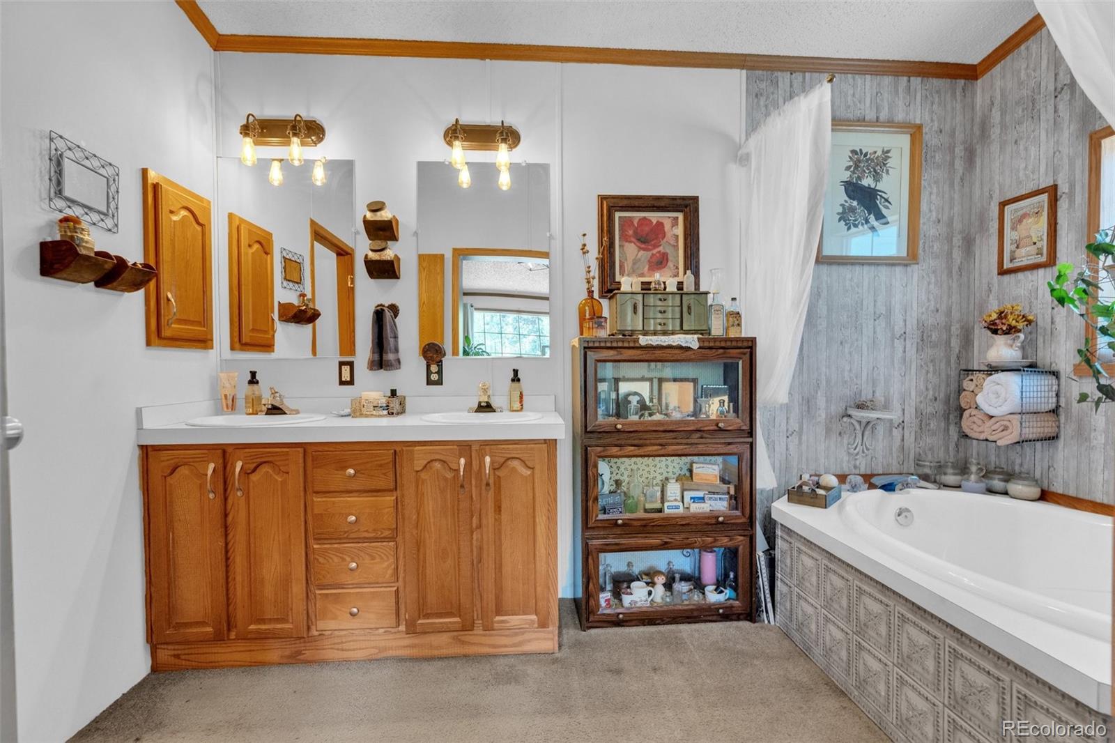 MLS Image #19 for 44  silver trail,florissant, Colorado