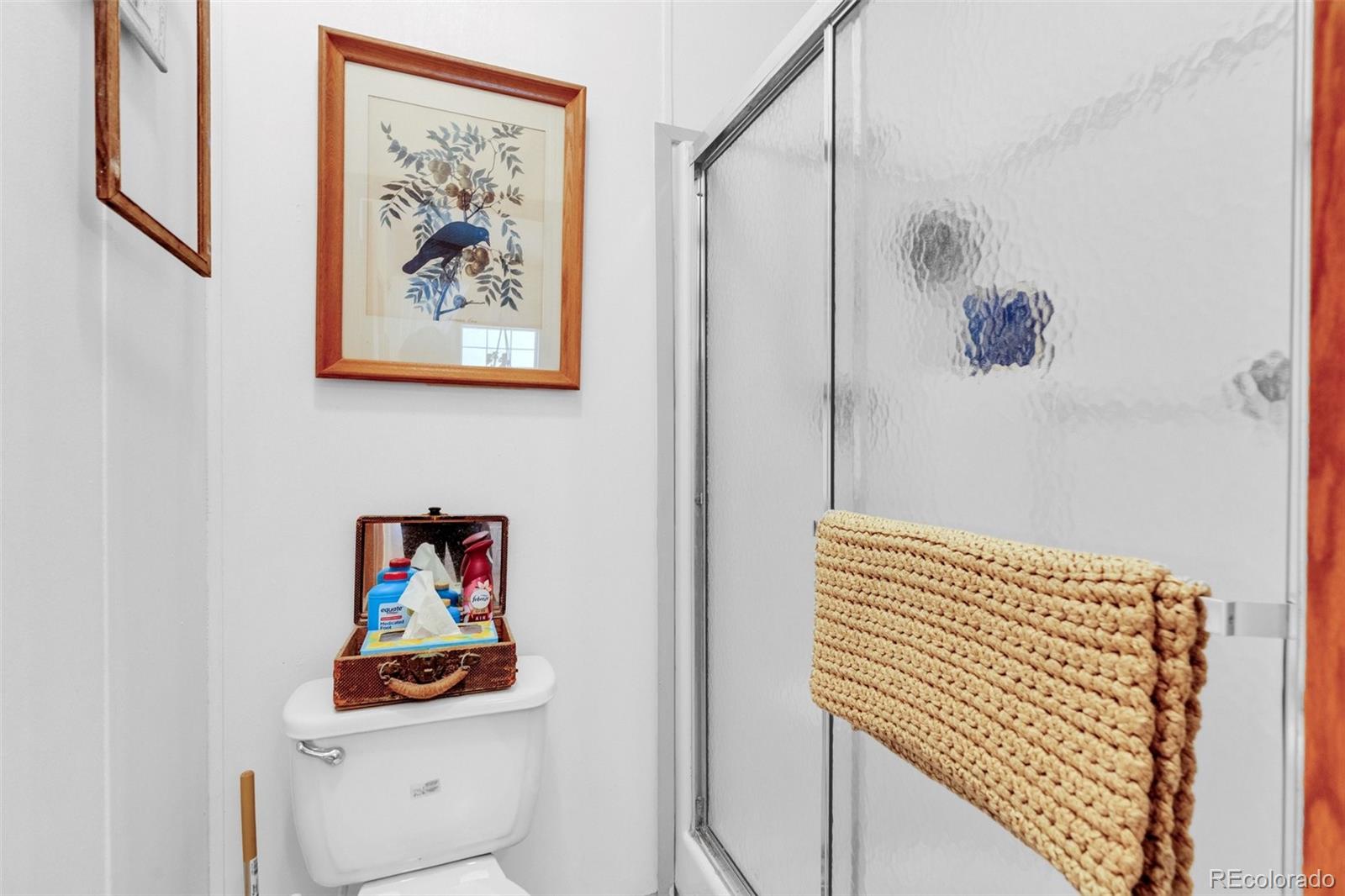 MLS Image #21 for 44  silver trail,florissant, Colorado