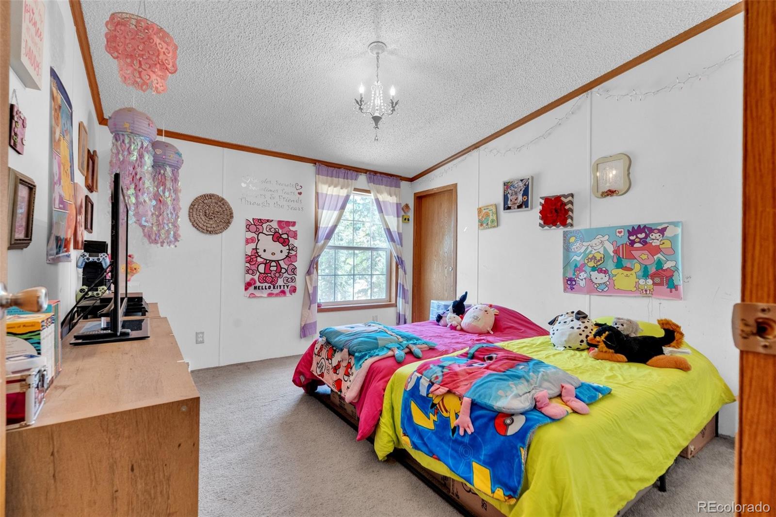 MLS Image #23 for 44  silver trail,florissant, Colorado