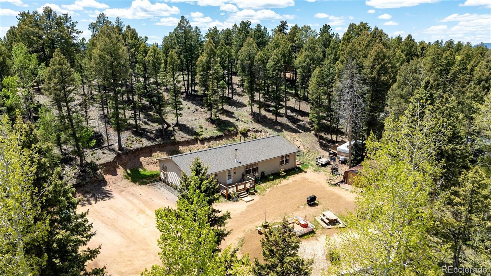 MLS Image #27 for 44  silver trail,florissant, Colorado