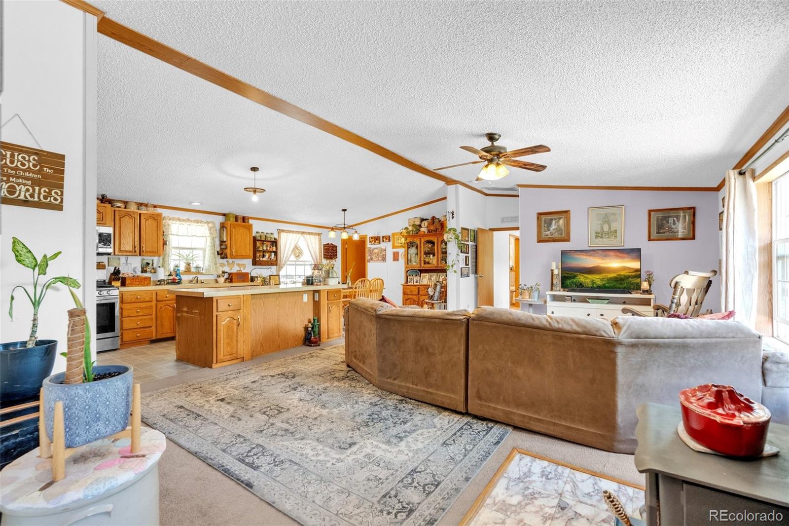 MLS Image #3 for 44  silver trail,florissant, Colorado