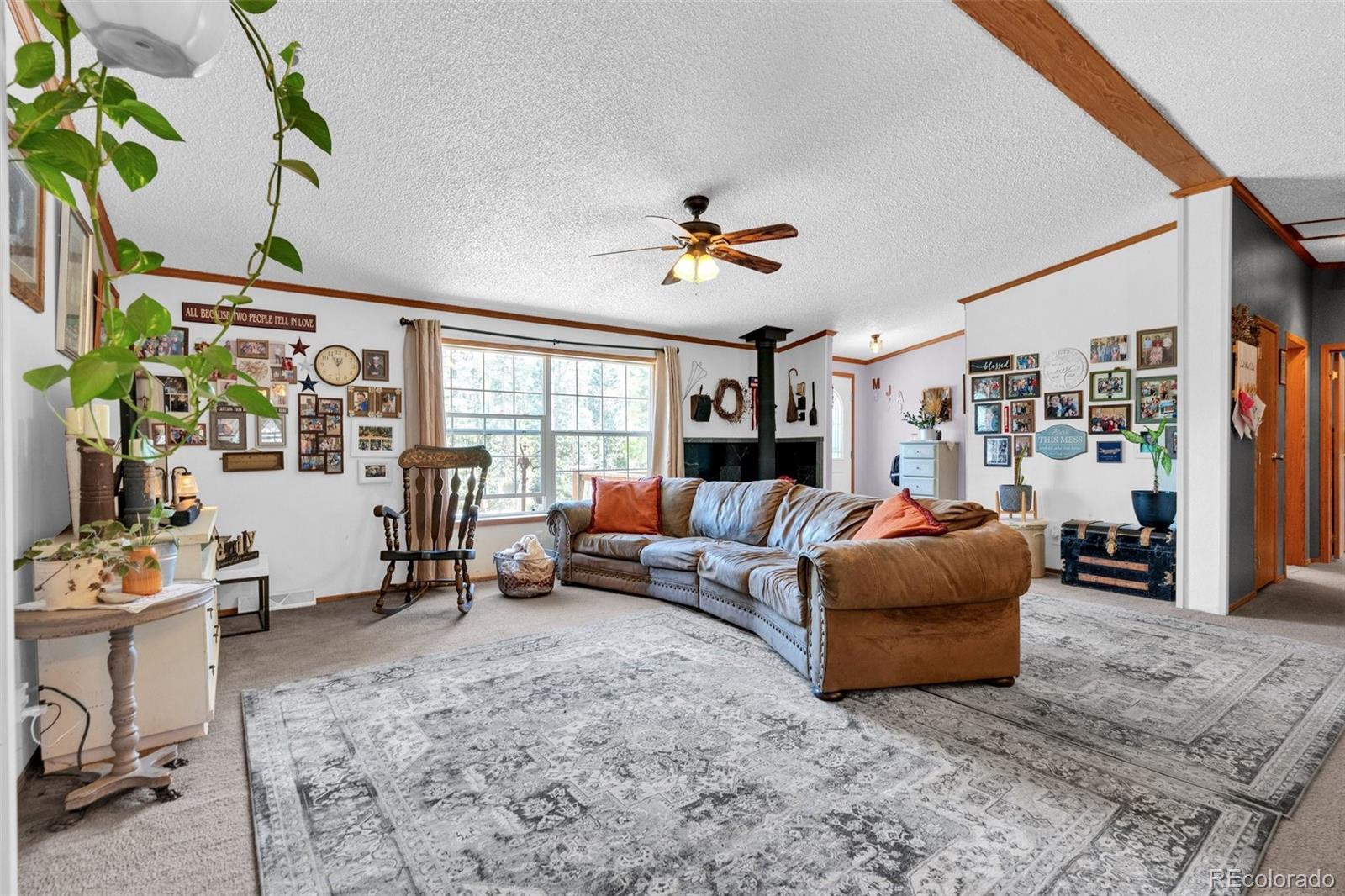 MLS Image #4 for 44  silver trail,florissant, Colorado