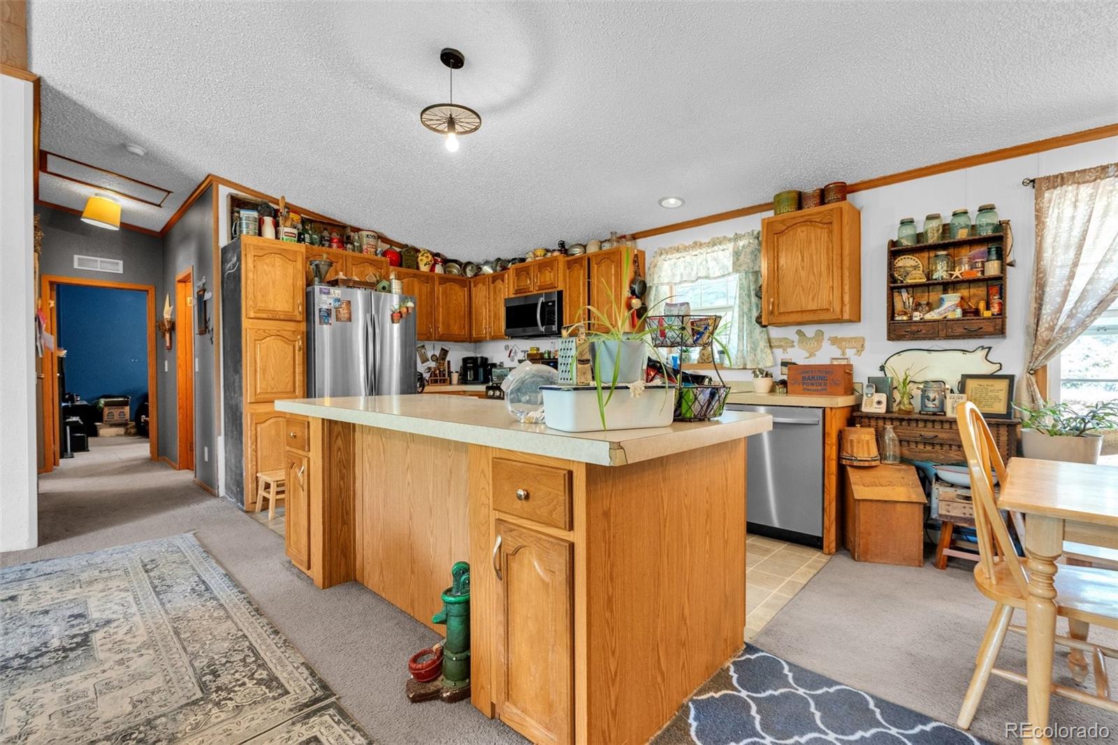 MLS Image #5 for 44  silver trail,florissant, Colorado