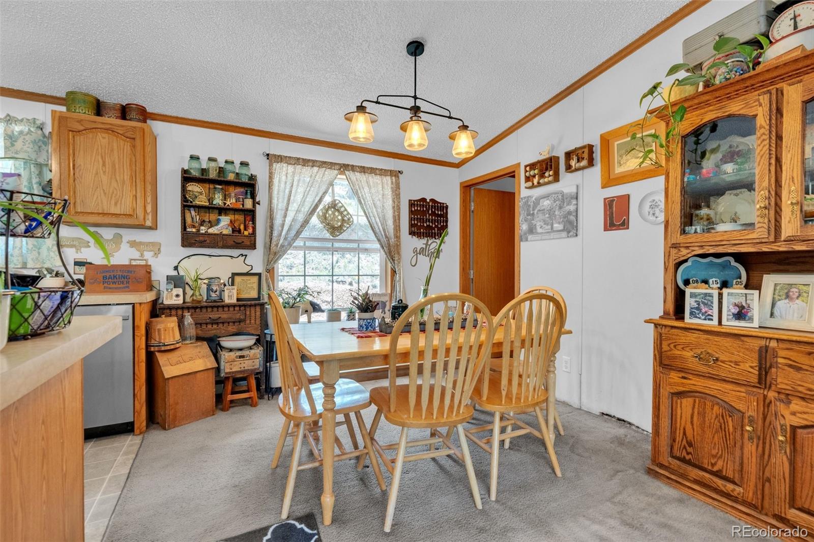 MLS Image #6 for 44  silver trail,florissant, Colorado