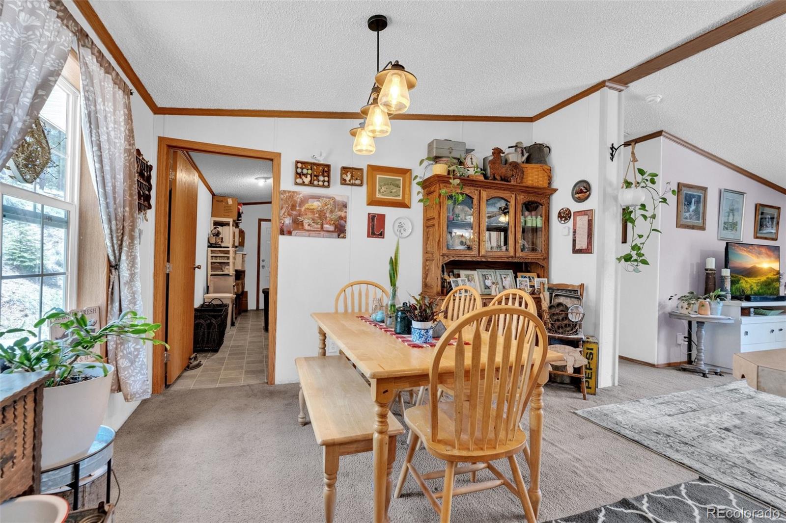 MLS Image #9 for 44  silver trail,florissant, Colorado