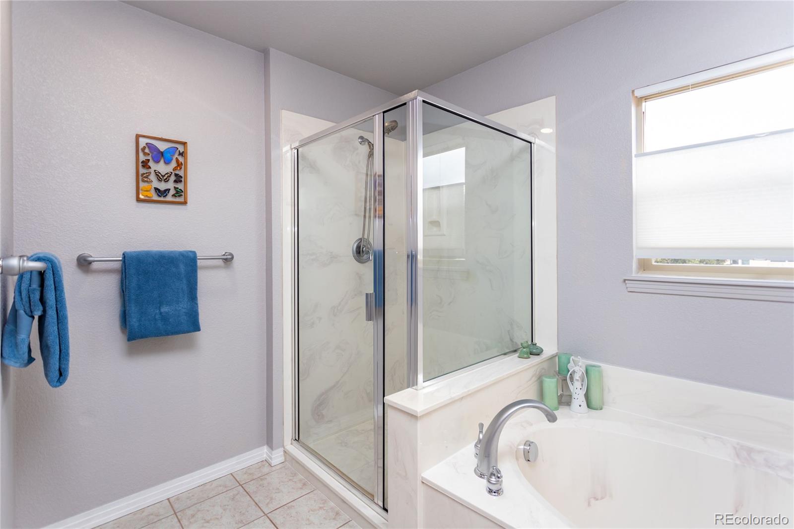 MLS Image #19 for 1123  westmoreland road,colorado springs, Colorado