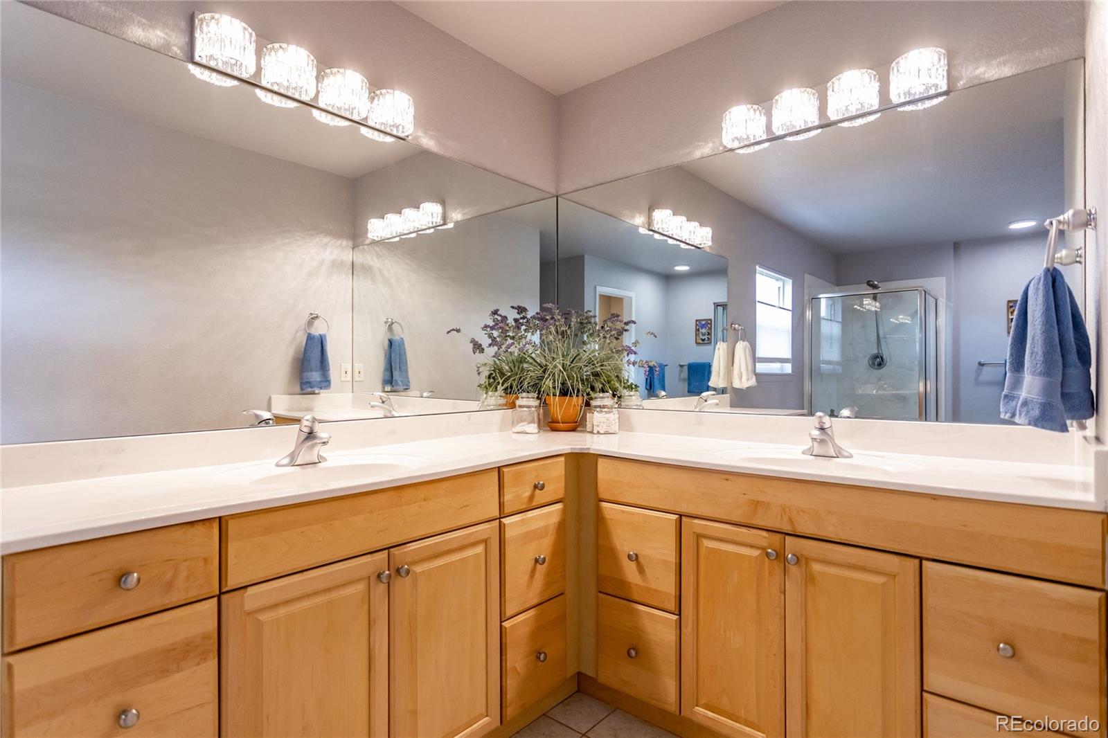 MLS Image #20 for 1123  westmoreland road,colorado springs, Colorado