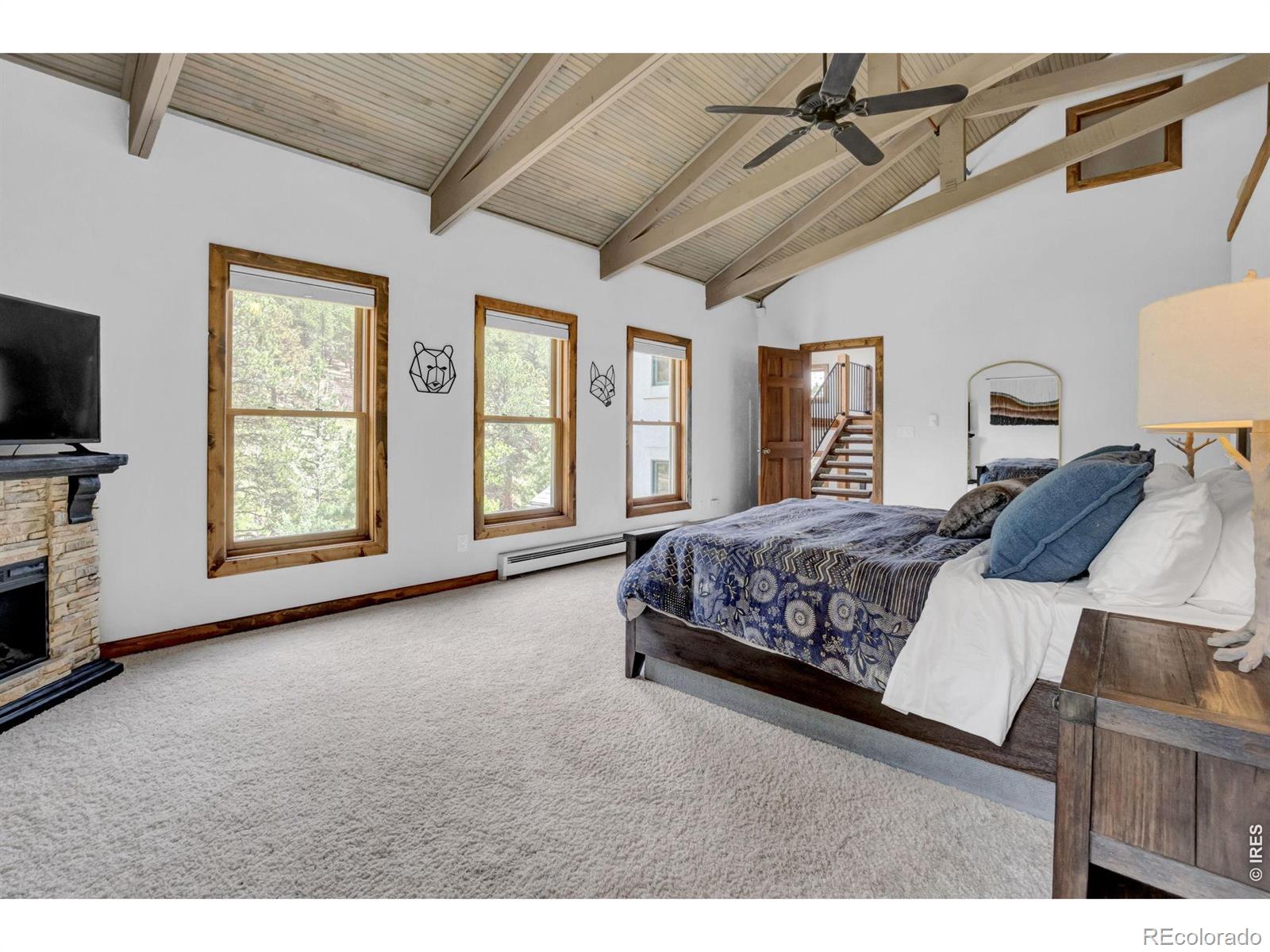 MLS Image #14 for 13910 n saint vrain drive,lyons, Colorado