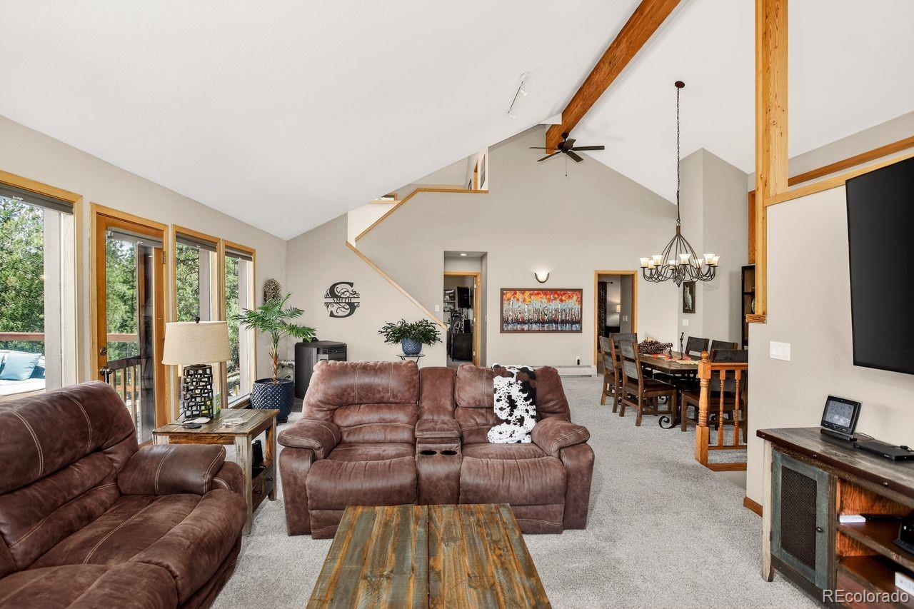 MLS Image #10 for 203  valley view lane,pine, Colorado