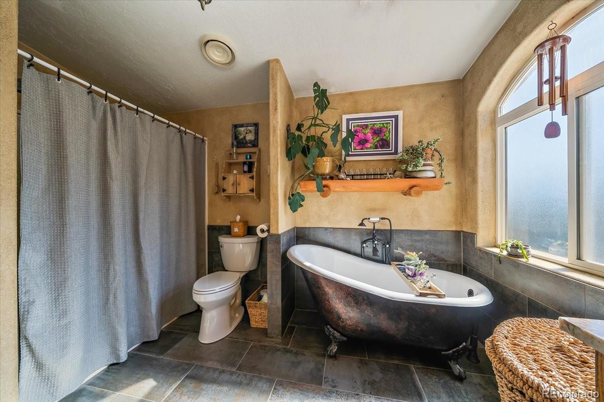 MLS Image #15 for 9001 s warhawk road,conifer, Colorado