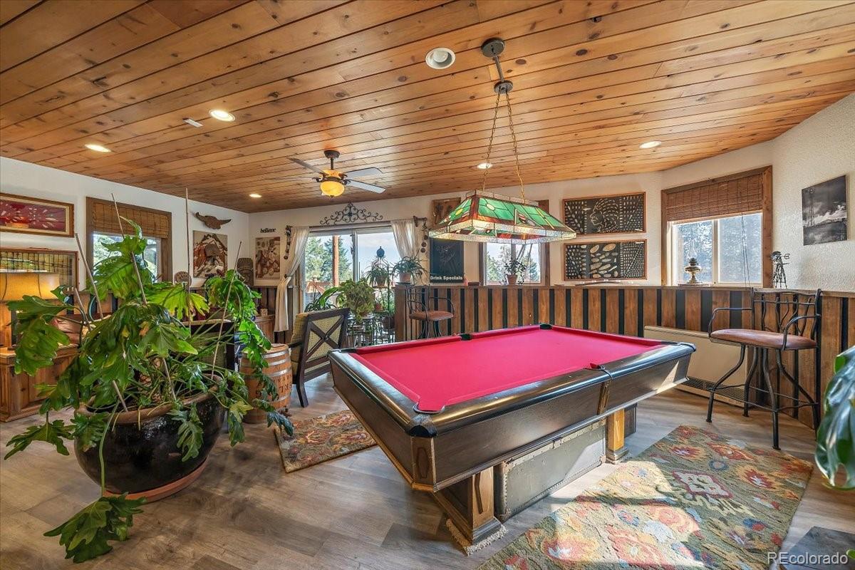 MLS Image #29 for 9001 s warhawk road,conifer, Colorado