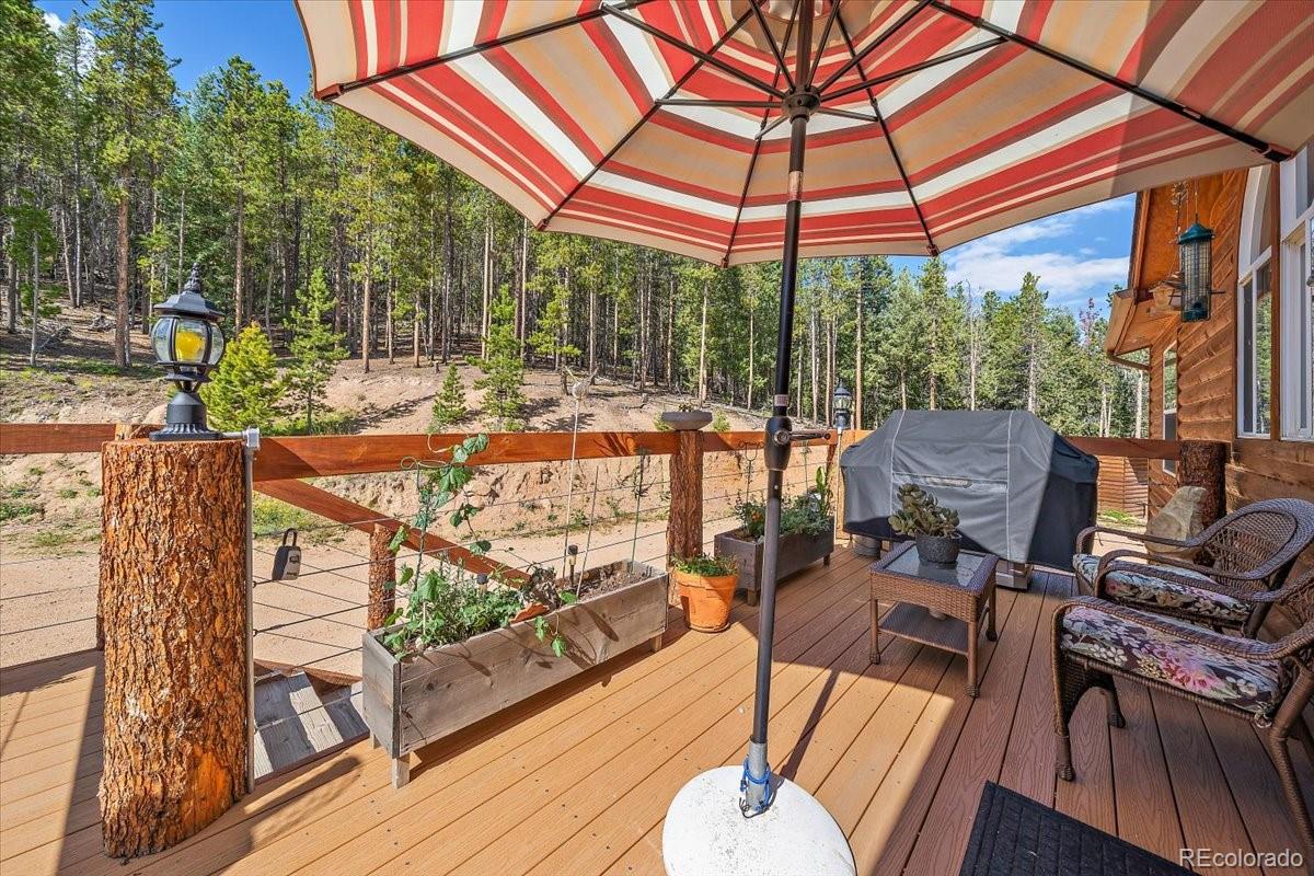 MLS Image #32 for 9001 s warhawk road,conifer, Colorado