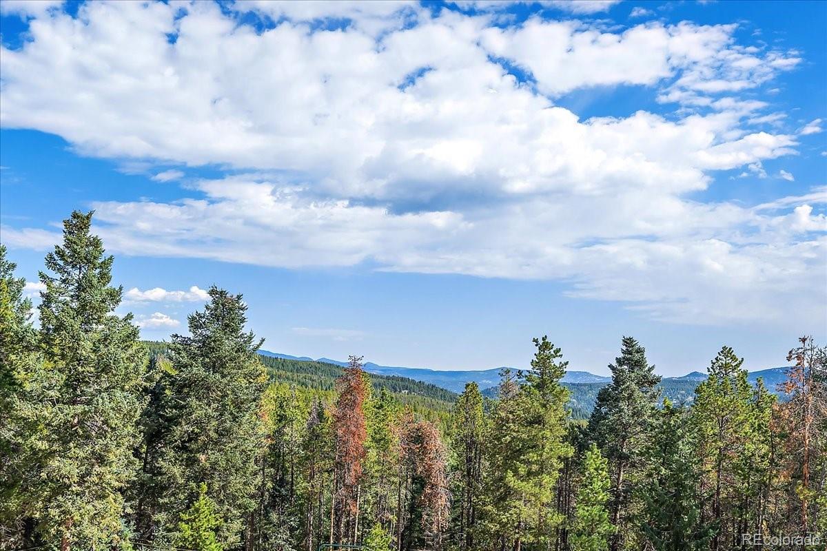 MLS Image #39 for 9001 s warhawk road,conifer, Colorado