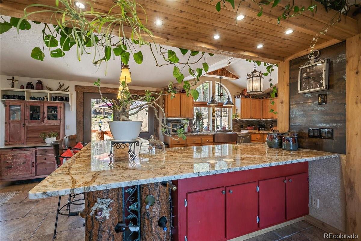 MLS Image #7 for 9001 s warhawk road,conifer, Colorado