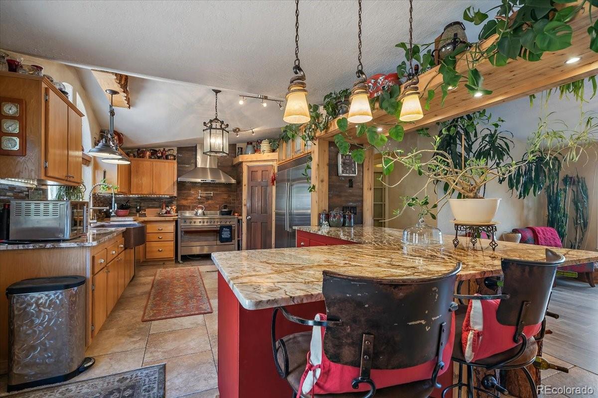 MLS Image #9 for 9001 s warhawk road,conifer, Colorado