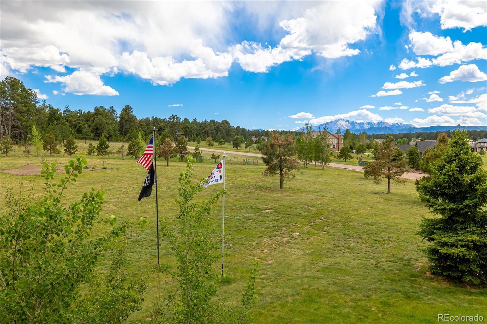 MLS Image #45 for 18890  harrogate court,monument, Colorado