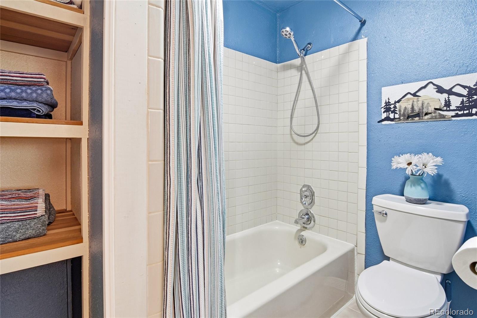 MLS Image #12 for 185  alice road,idaho springs, Colorado
