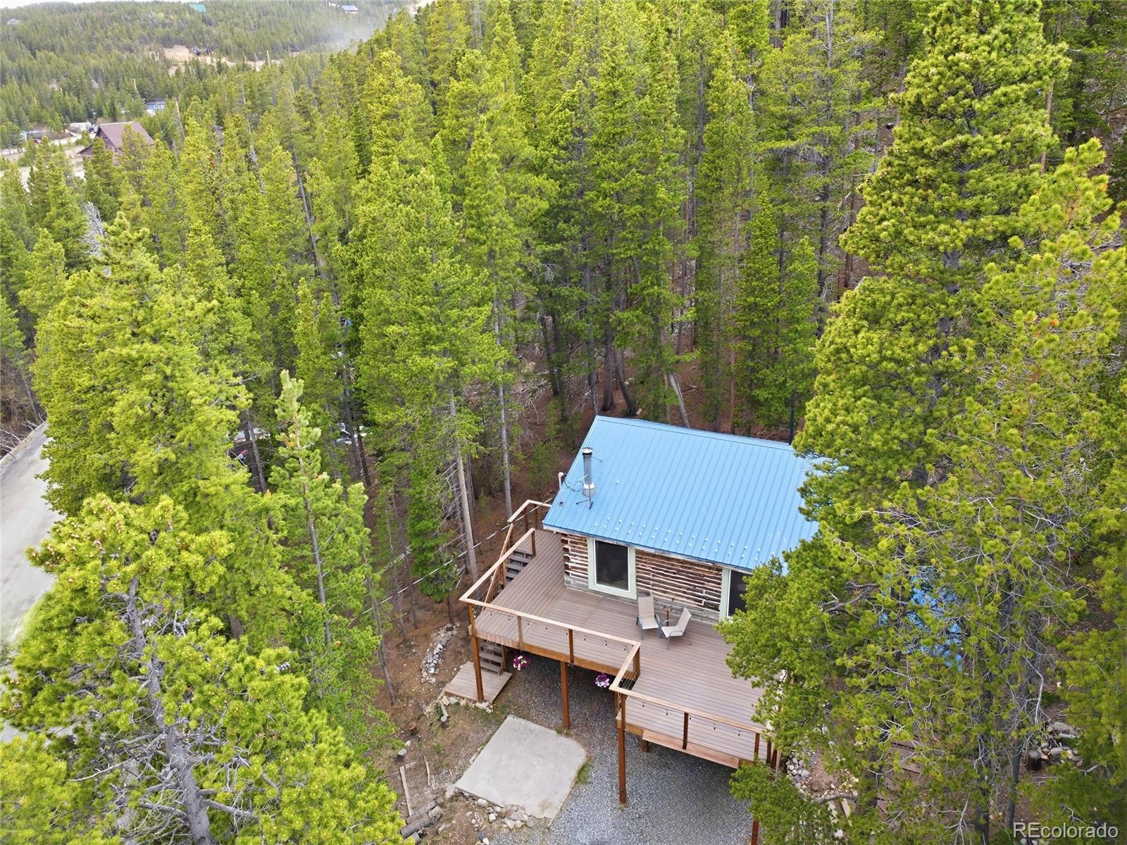 MLS Image #29 for 185  alice road,idaho springs, Colorado