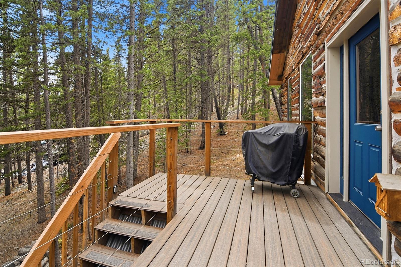MLS Image #40 for 185  alice road,idaho springs, Colorado