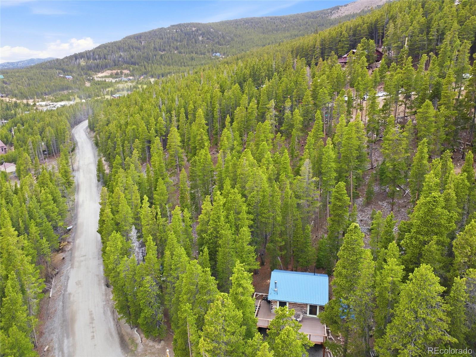 MLS Image #42 for 185  alice road,idaho springs, Colorado