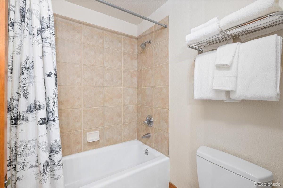 MLS Image #10 for 505 s main street 1412,breckenridge, Colorado
