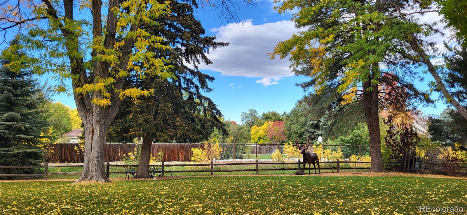 MLS Image #38 for 2429 s chase lane,lakewood, Colorado
