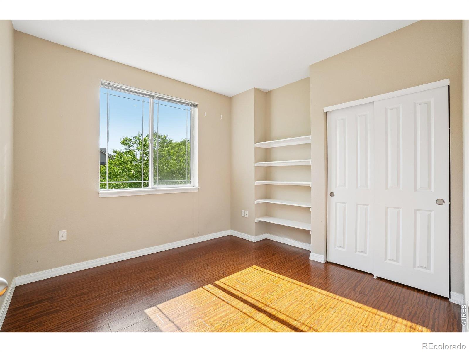 MLS Image #13 for 804  summer hawk drive,longmont, Colorado