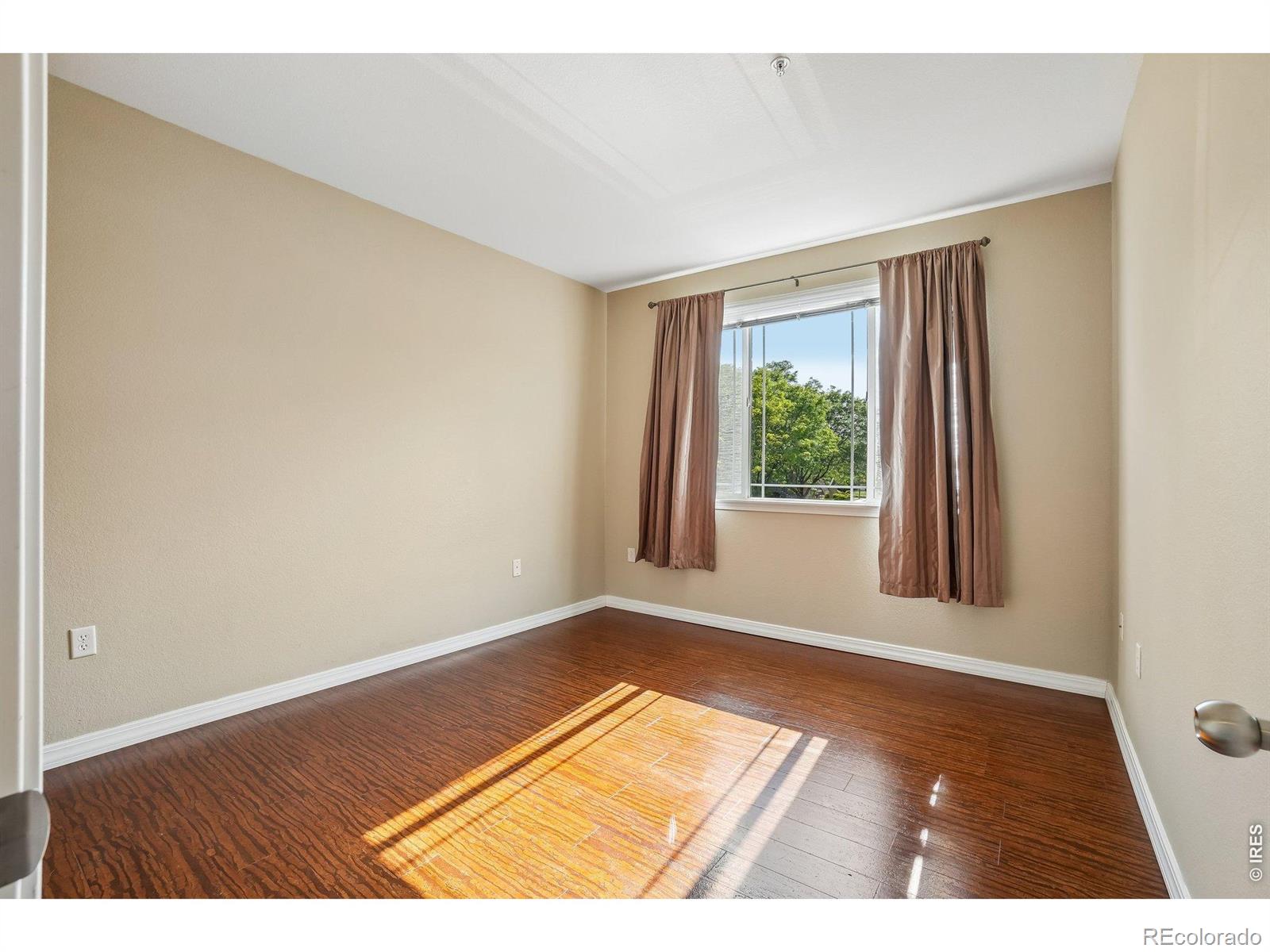 MLS Image #15 for 804  summer hawk drive,longmont, Colorado