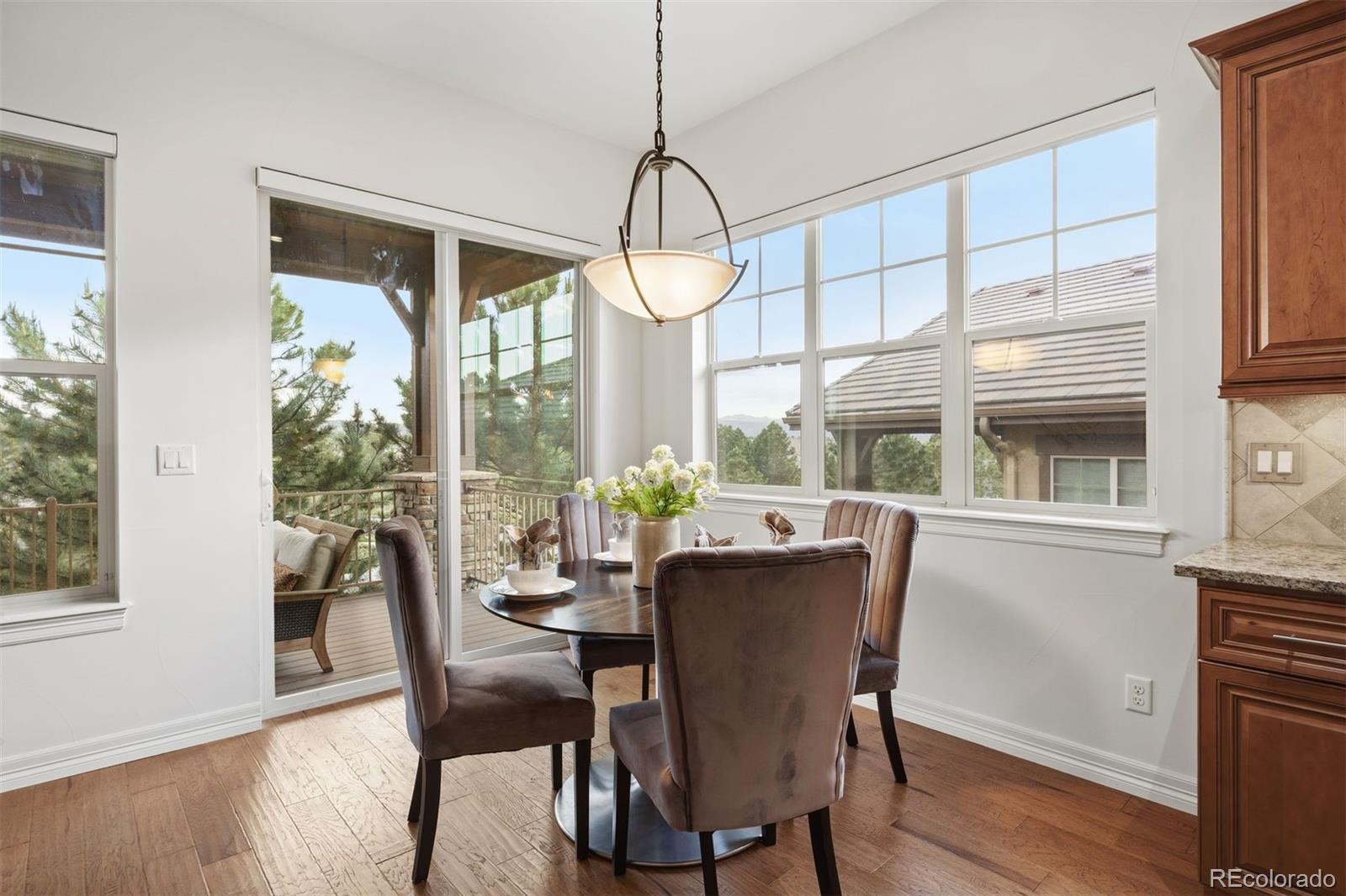 MLS Image #10 for 4332  chateau ridge road,castle rock, Colorado