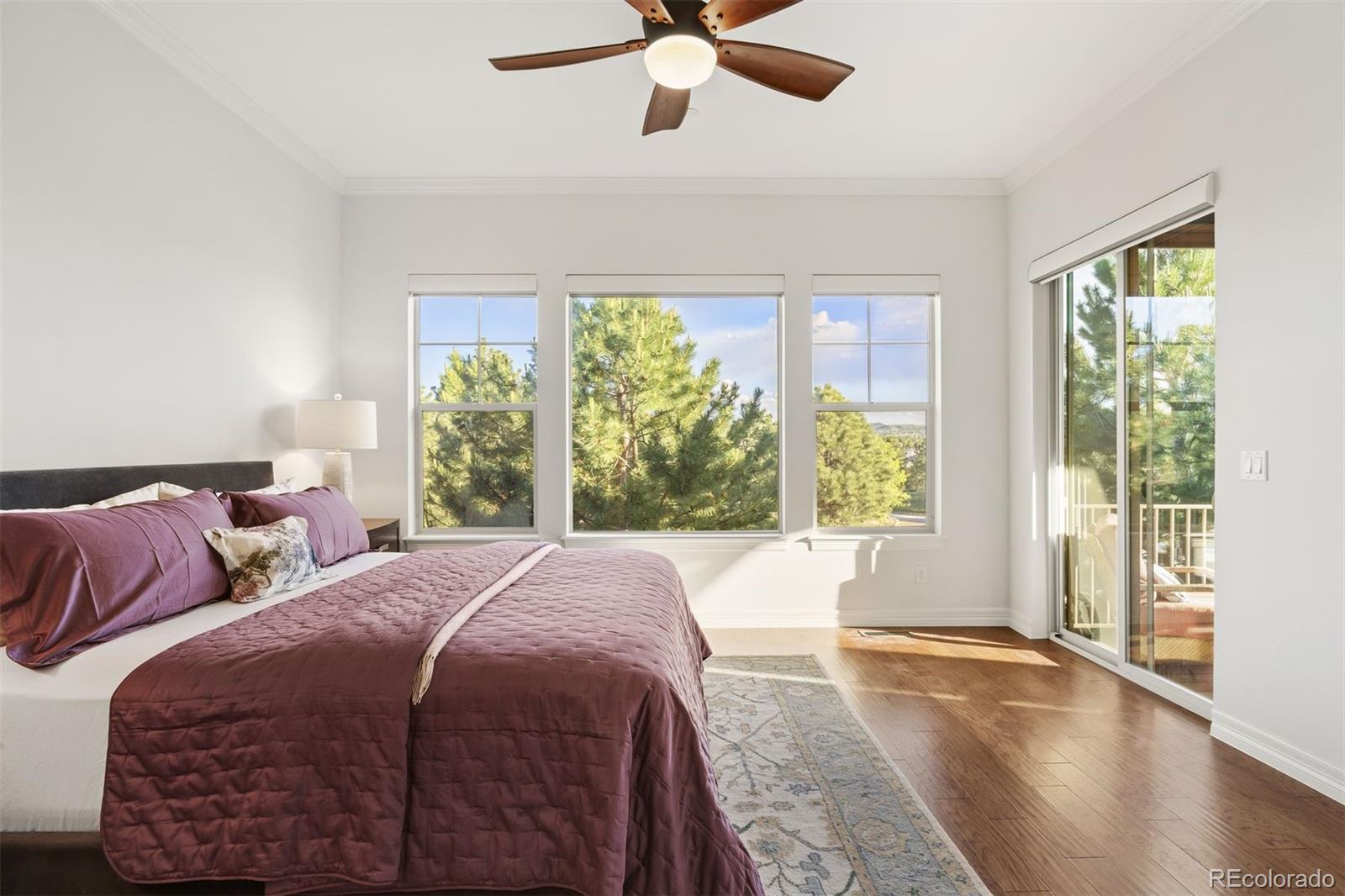 MLS Image #33 for 4332  chateau ridge road,castle rock, Colorado