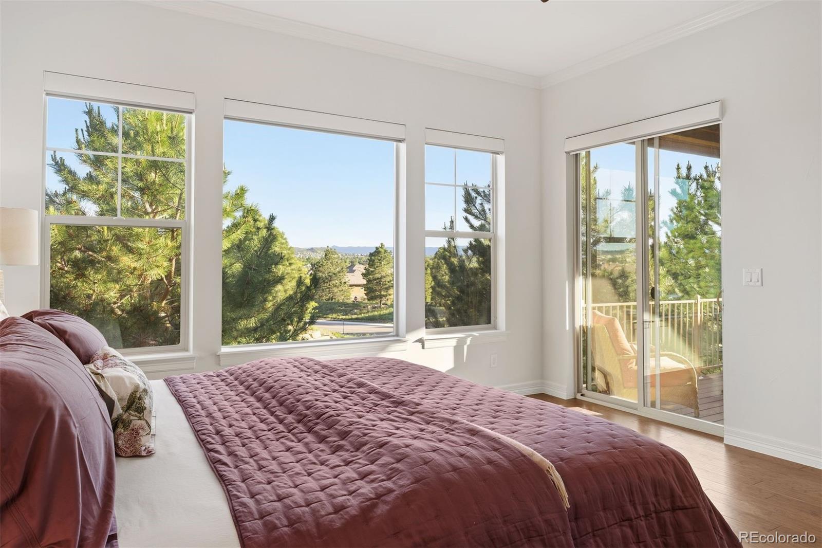 MLS Image #4 for 4332  chateau ridge road,castle rock, Colorado