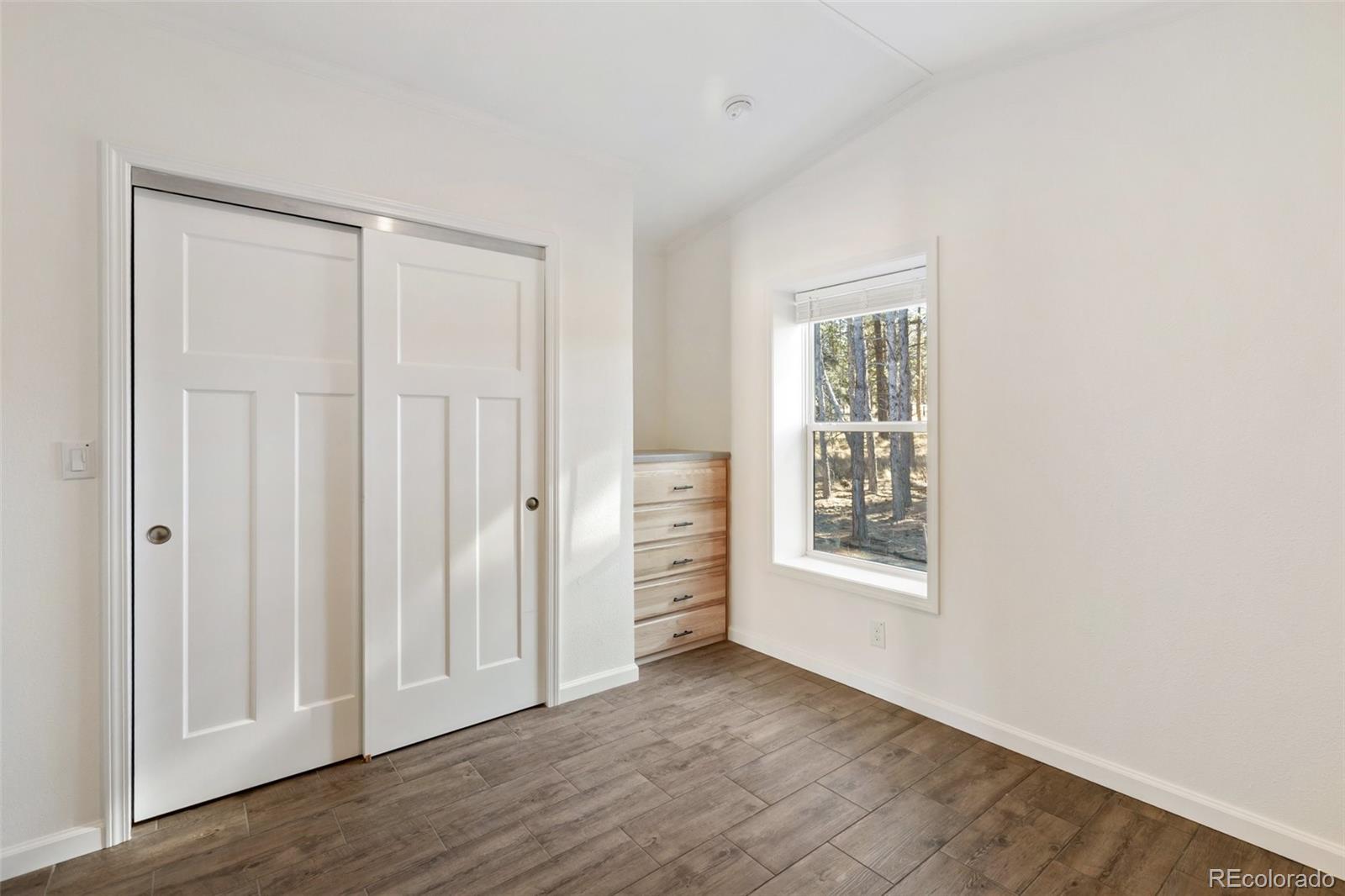 MLS Image #10 for 1181  calm mountain point,woodland park, Colorado