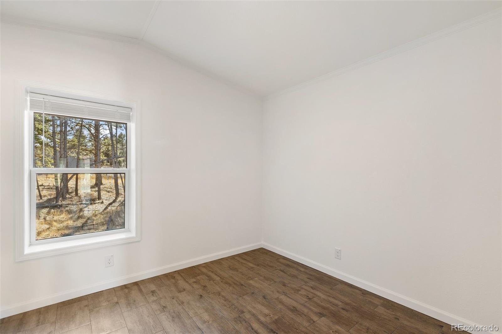 MLS Image #9 for 1181  calm mountain point,woodland park, Colorado