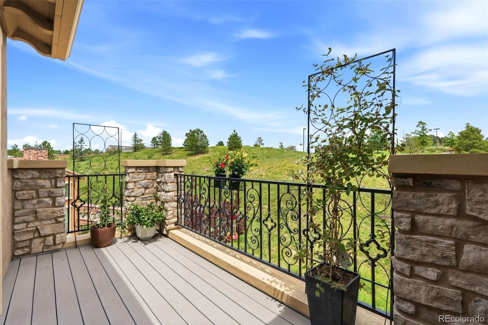 MLS Image #16 for 9274  viaggio way,highlands ranch, Colorado