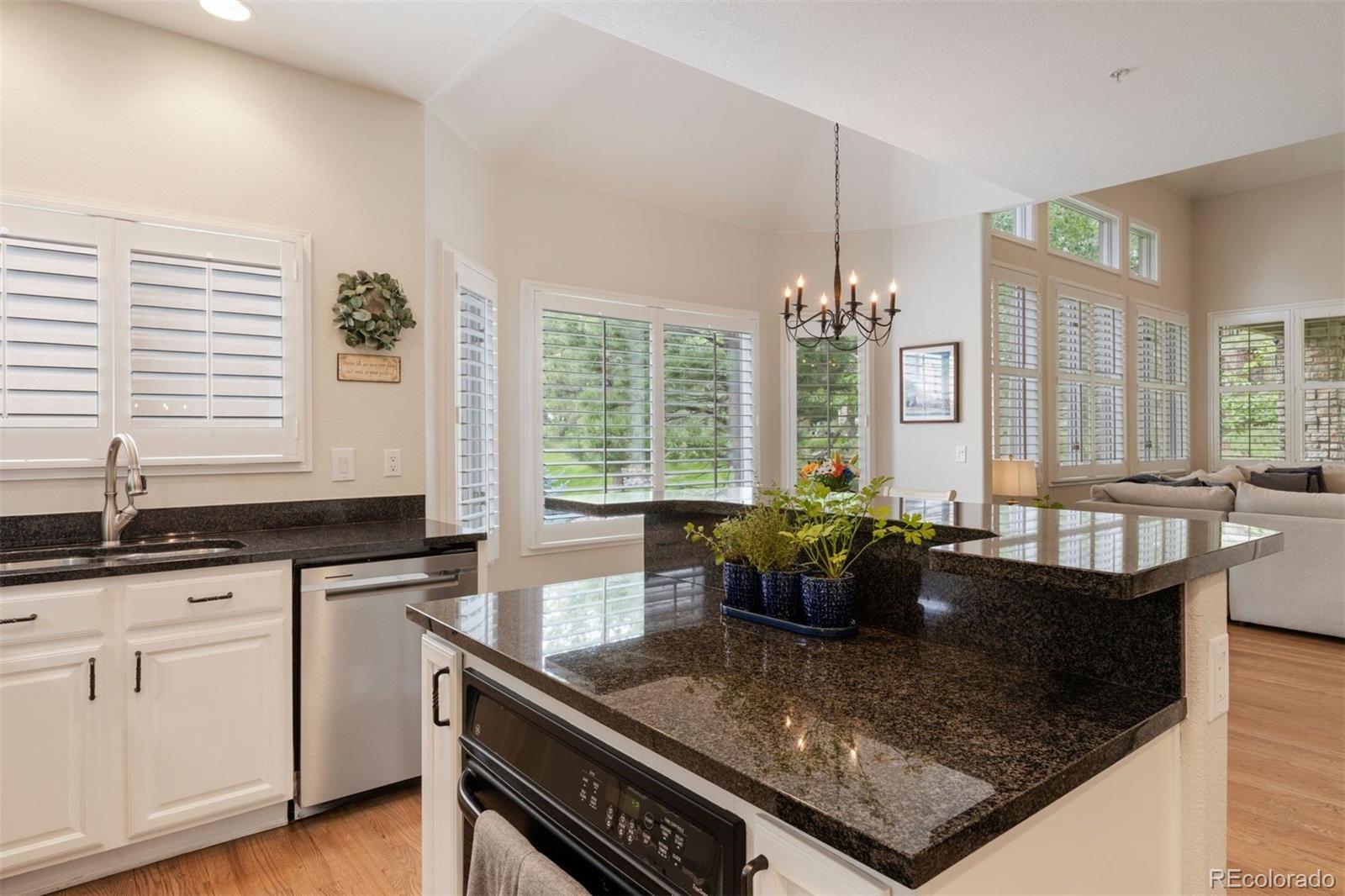 MLS Image #14 for 3104  ramshorn drive,castle rock, Colorado