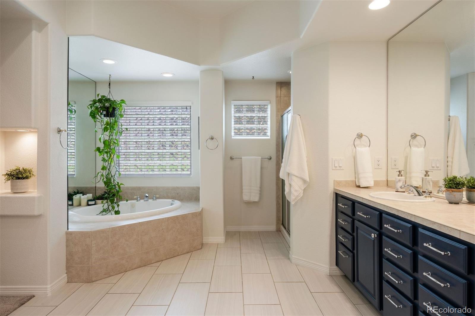 MLS Image #22 for 3104  ramshorn drive,castle rock, Colorado
