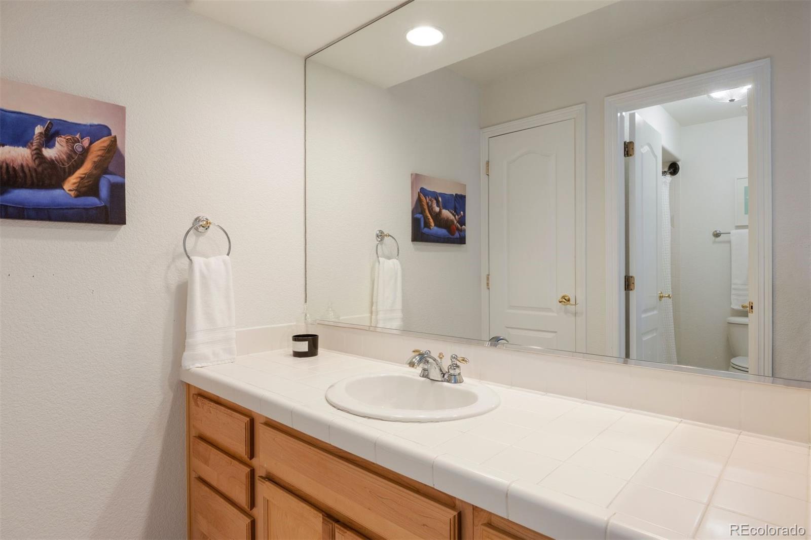 MLS Image #35 for 3104  ramshorn drive,castle rock, Colorado