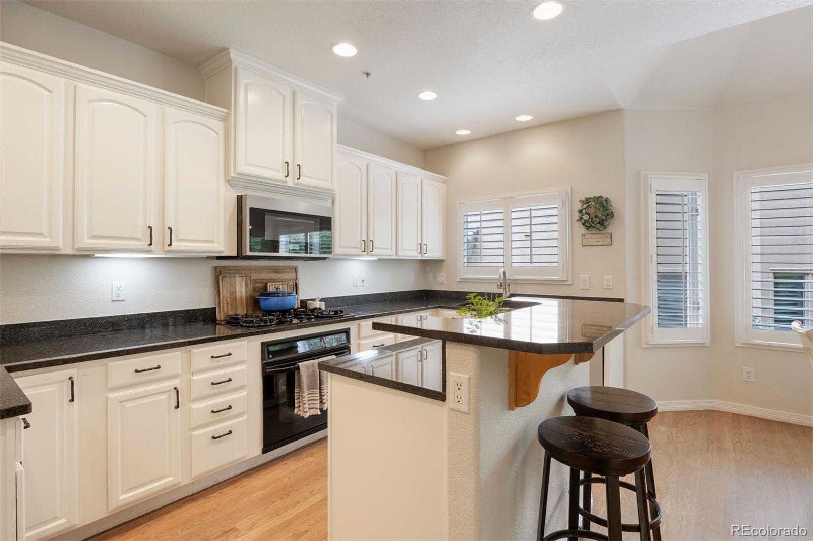 MLS Image #9 for 3104  ramshorn drive,castle rock, Colorado