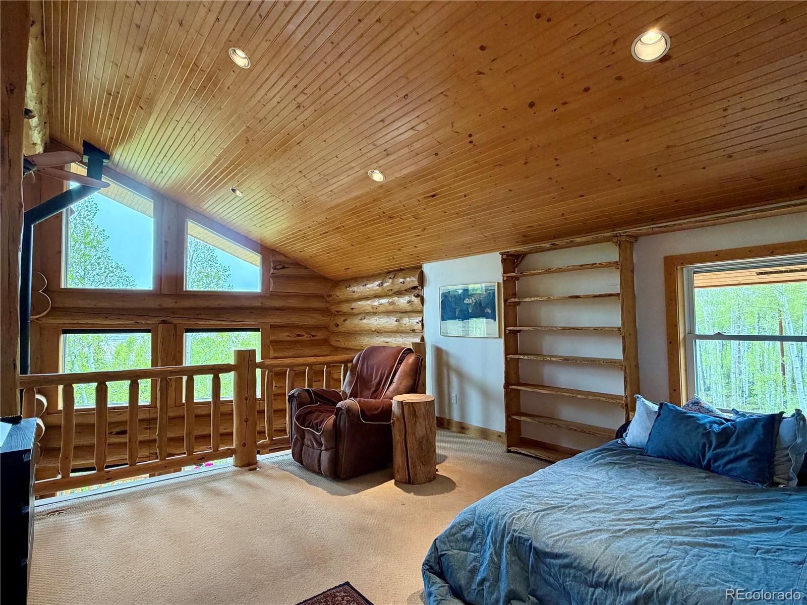 MLS Image #19 for 834  lodge pole drive,leadville, Colorado