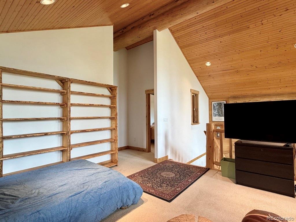 MLS Image #20 for 834  lodge pole drive,leadville, Colorado